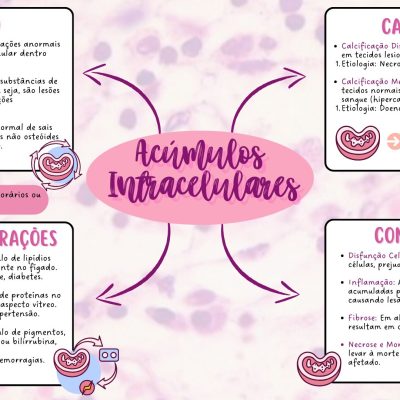 Acúmulos Intracelulares